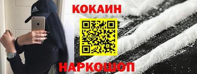 дживик Кингисепп