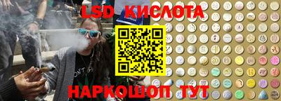 дживик Кингисепп
